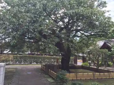 輪王寺両大師堂(寛永寺輪王殿)のその他建物