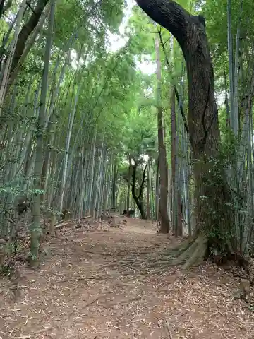 東大社(千葉県)
