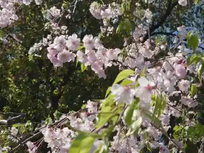 長善寺(神奈川県)