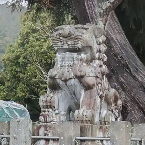 八幡神社（武芸八幡宮）の狛犬