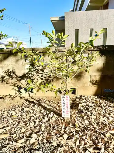 妻田神社(神奈川県)
