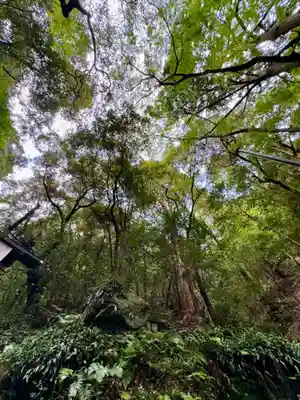 多度大社(三重県)