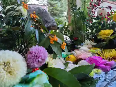 滑川神社 - 仕事と子どもの守り神の手水舎