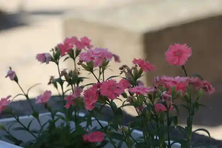 熊野福藏神社の庭園