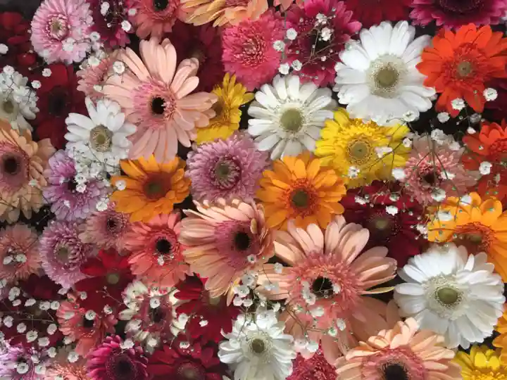 札幌諏訪神社の手水舎