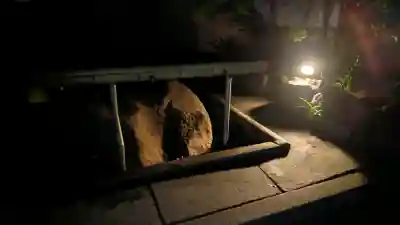 安井金比羅宮(京都府)