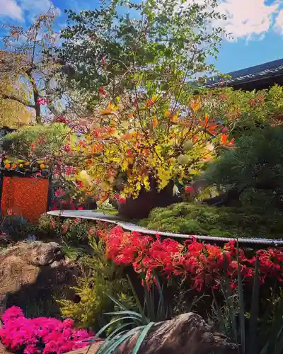 白山神社の景色