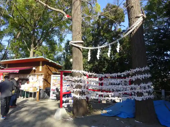 多摩川浅間神社のおみくじ