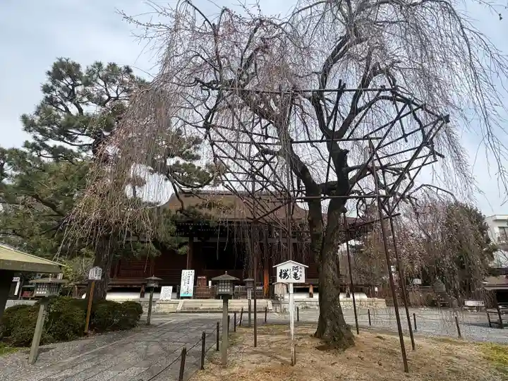 大報恩寺(千本釈迦堂)(京都府)
