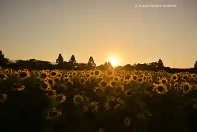 座間神社(神奈川県)