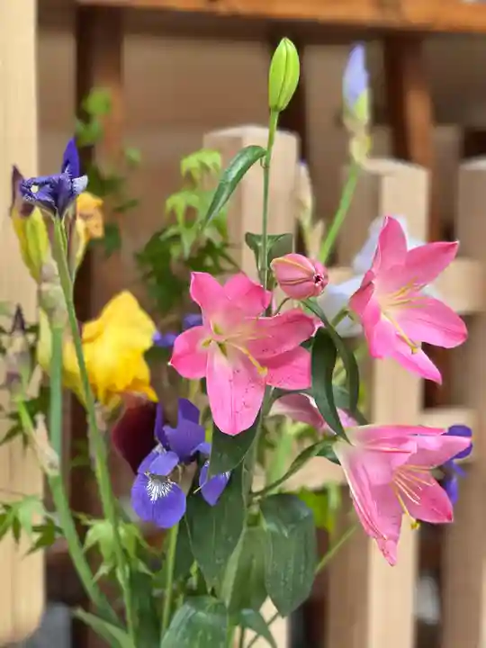 須山浅間神社の自然