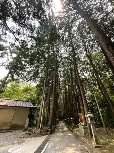 東大野八幡神社の建物その他