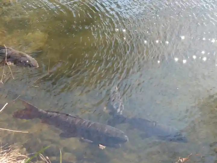 廣瀬神社(埼玉県)