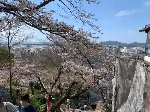 金剛宝寺（紀三井寺）の景色