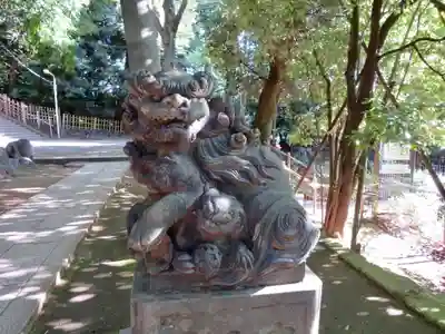 渋谷氷川神社の狛犬
