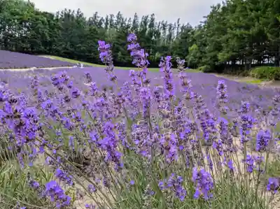 富良野神社の周辺