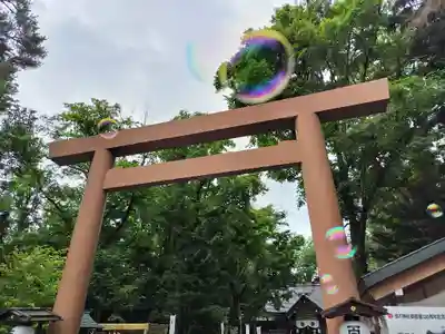 旭川神社の鳥居