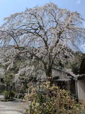 紹太寺(神奈川県)