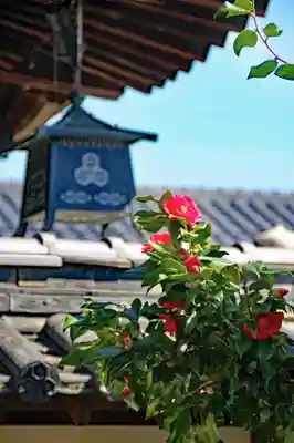 三津厳島神社(愛媛県)