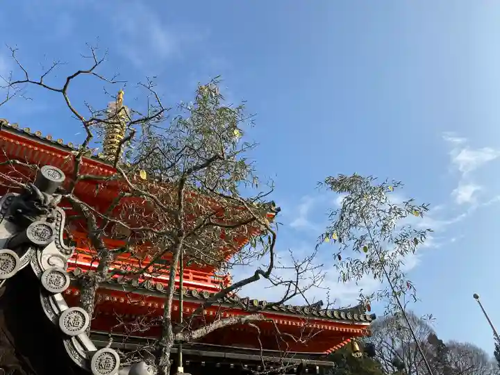 朝護孫子寺(奈良県)