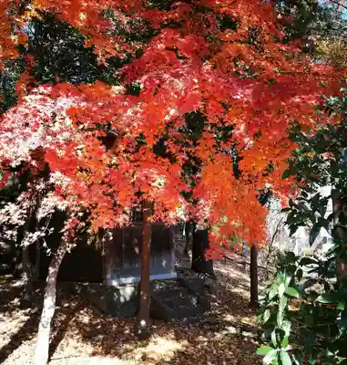 八国山の社(東京都)
