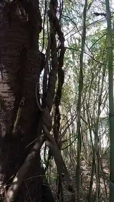 比佐豆知神社(三重県)
