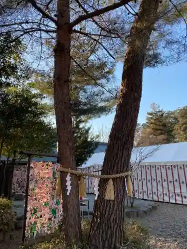 櫻木神社の自然