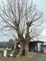 来迎寺(千葉県)