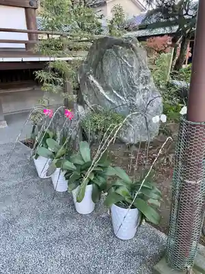 無量寺(神奈川県)