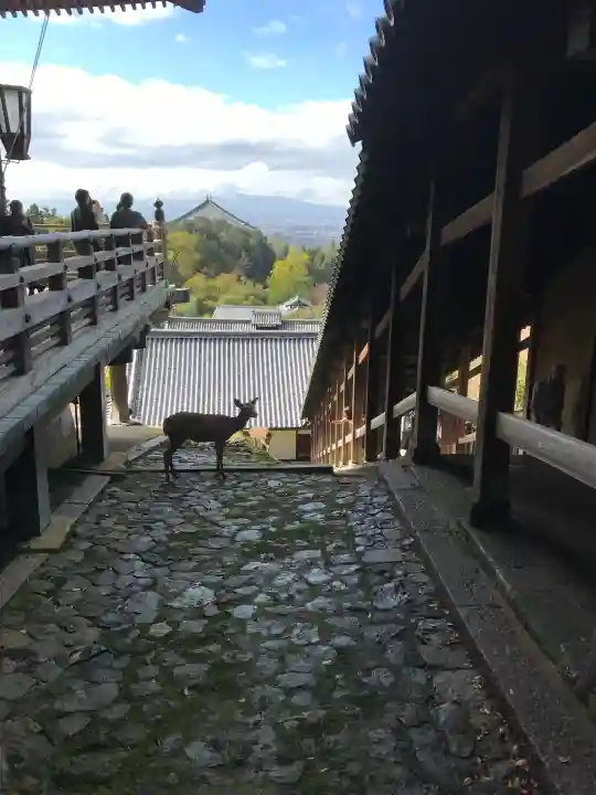東大寺 二月堂の{uncategorized: "未分類", other: "その他", undefined: "問題あり", building: "その他建物", grave: "お墓", sacred_gate: "鳥居", guardian: "狛犬", statue: "像", buddha: "仏像", history: "歴史", nature: "自然", garden: "庭園", animal: "動物", pagoda: "塔", temizu: "手水舎", mountain_gate: "山門・神門", sanctuary: "本殿・本堂", subordinate: "末社・摂社", art: "芸術", scenery: "景色", jizo: "地蔵", ema: "絵馬", goshuin: "御朱印", omikuji: "おみくじ", items: "授与品その他", amulet: "お守り", goshuincho: "御朱印帳", eats: "食事", festival: "お祭り", votive_dance: "神楽", shichigosan: "七五三参", wedding: "結婚式", experience: "体験その他", initially: "初詣", around: "周辺", anti_infection: "感染症対策"}