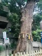 阿倍王子神社(大阪府)