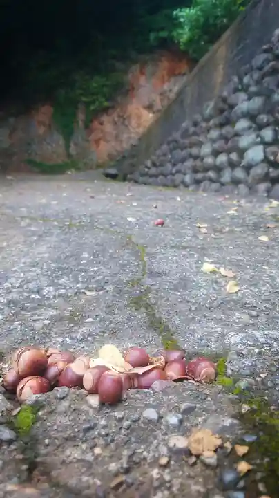 岐阜稲荷山本社(岐阜県)