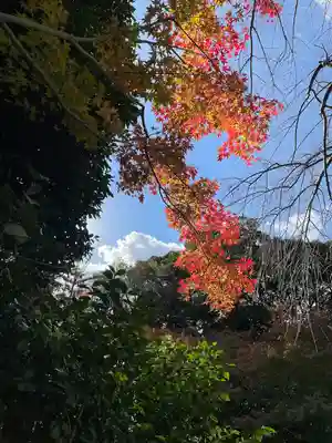 葛原八幡神社(福岡県)