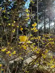 日光大室高龗神社(栃木県)