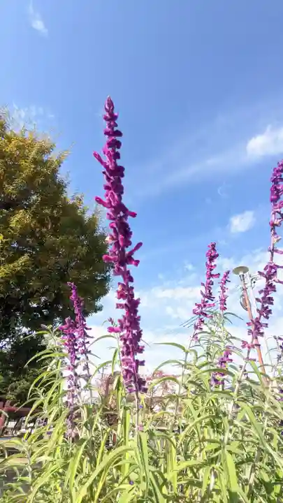 上野天満宮(愛知県)