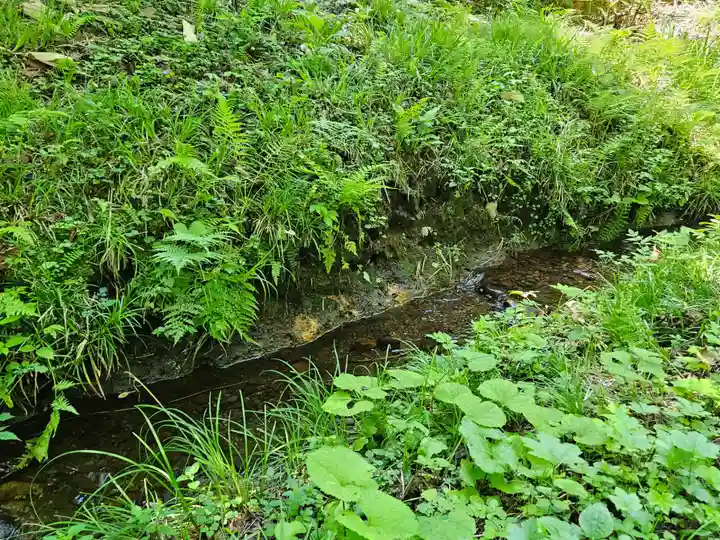 戸隠神社奥社(長野県)