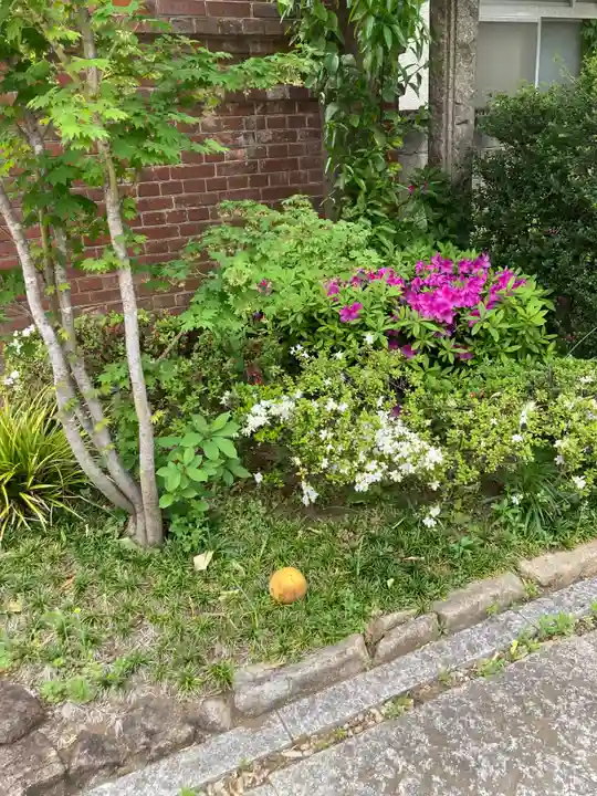 高徳寺(東京都)