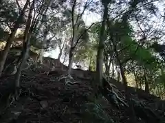 大山阿夫利神社の動物