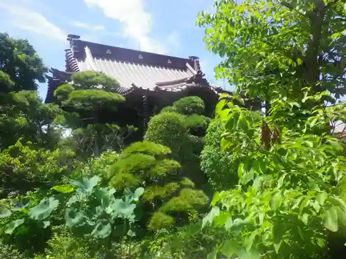 大巧寺の庭園