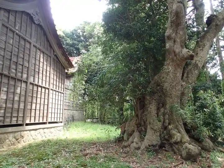 篠原神社のその他建物