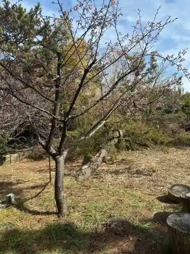 鶴嶺八幡宮の{uncategorized: "未分類", other: "その他", undefined: "問題あり", building: "その他建物", grave: "お墓", sacred_gate: "鳥居", guardian: "狛犬", statue: "像", buddha: "仏像", history: "歴史", nature: "自然", garden: "庭園", animal: "動物", pagoda: "塔", temizu: "手水舎", mountain_gate: "山門・神門", sanctuary: "本殿・本堂", subordinate: "末社・摂社", art: "芸術", scenery: "景色", jizo: "地蔵", ema: "絵馬", goshuin: "御朱印", omikuji: "おみくじ", items: "授与品その他", amulet: "お守り", goshuincho: "御朱印帳", eats: "食事", festival: "お祭り", votive_dance: "神楽", shichigosan: "七五三参", wedding: "結婚式", experience: "体験その他", initially: "初詣", around: "周辺", anti_infection: "感染症対策"}