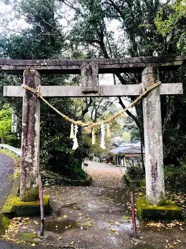 紫尾神社の鳥居