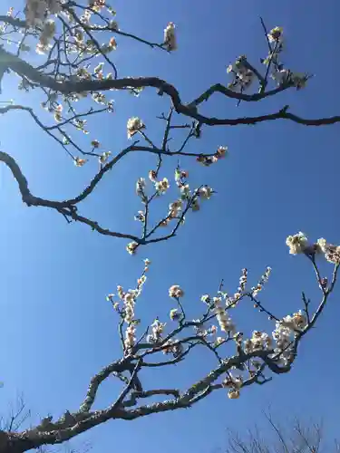 浄妙寺(神奈川県)