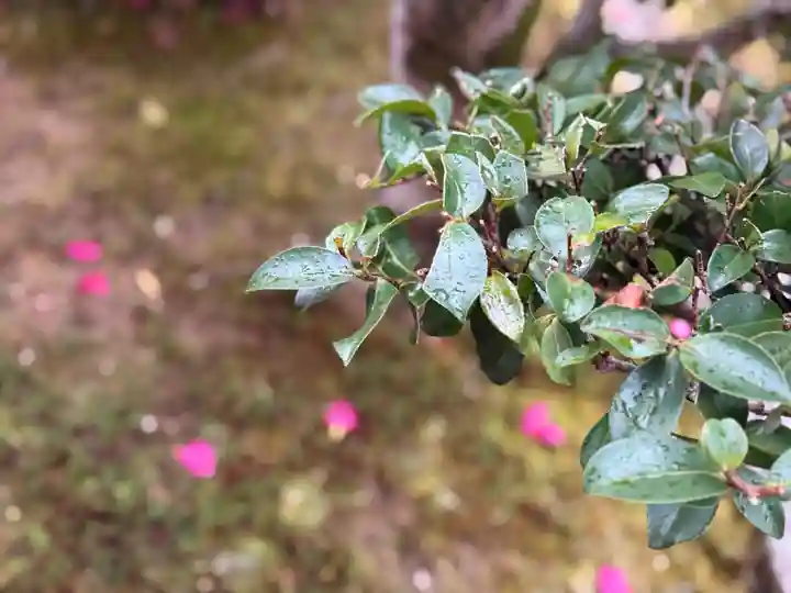 西方山極楽寺(岐阜県)