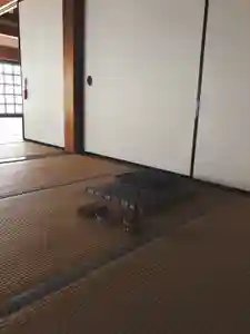 潮音院の体験その他(2020年10月19日(月) 07時05分48秒投稿)