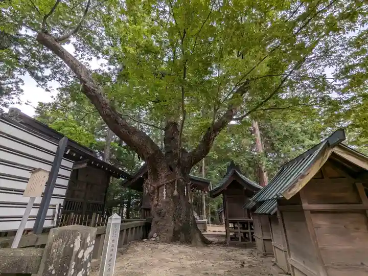 穂高神社本宮(長野県)