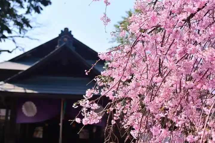 猿田彦神社(東京都)