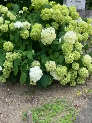 北本氷川神社(埼玉県)