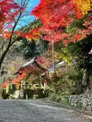 金勝寺(奈良県)