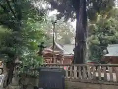 岩槻久伊豆神社(埼玉県)